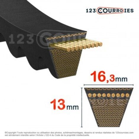Courroie trapézoidale crantée Contitech Conti V FO PIONEER XPB2900 Ld / 5VX1146