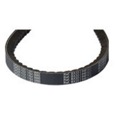 Courroie Trapézoïdale Crantée Mitsuboshi, Section 16 X 12,1mm. Longueur Ext: 25''.