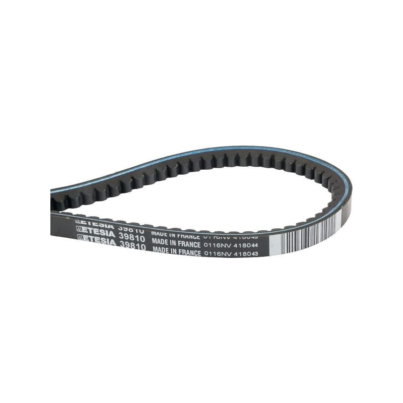 Etesia - Courroie trapézoïdale Référence ET39810