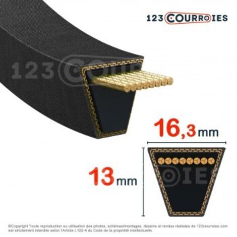 Courroie trapézoidale lisse Contitech Conti V SPB9000 Ld