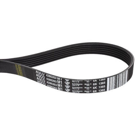 Courroie trapézoïdale MASSEY FERGUSON 4286263M1