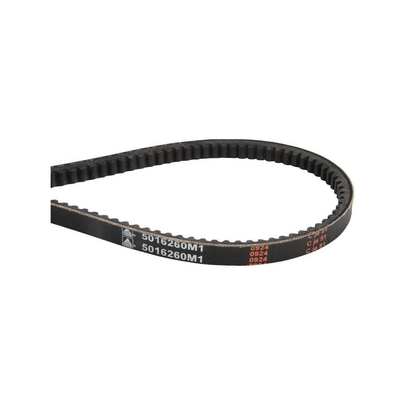 Massey Ferguson - Courroie trapézoïdale 5016260M1