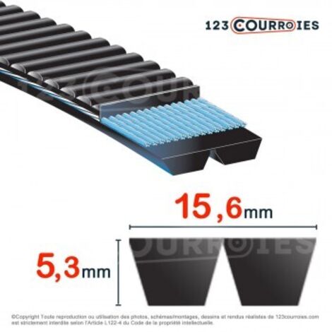 Courroie trapézoïdale polyuréthane Bando Banflex 2-7MS1180