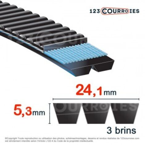 Courroie trapézoïdale polyuréthane Bando Banflex 3-7MS1060