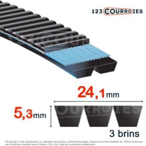 Courroie trapézoïdale polyuréthane Bando Banflex 3-7MS837