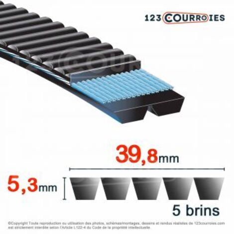 Courroie trapézoïdale polyuréthane Bando Banflex 5-7MS630