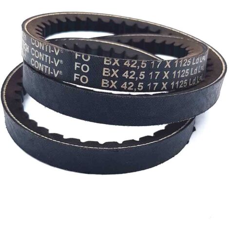 Courroie type trapézoïdale crantée BX42-1/2