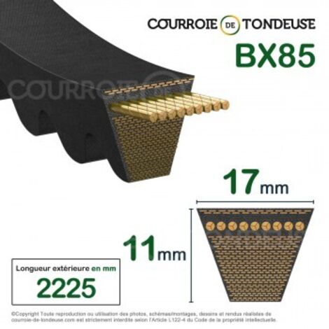 Courroie type trapézoïdale crantée BX85