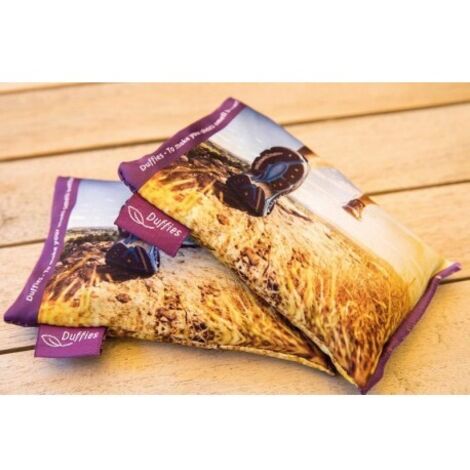 Coussin anti-odeur