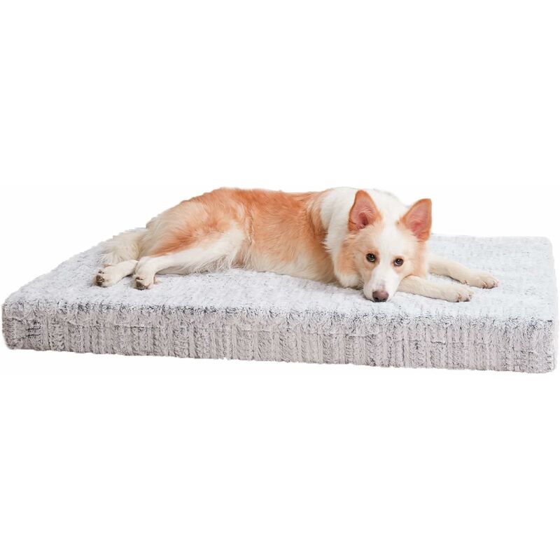 Bingopaw - Coussin Chien XXL Dehoussable Grande Taille Lit pour Chien en Peluche Moelleux Rembouré - XXL 120x90x10cm