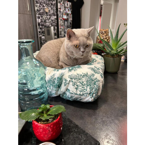 Coussin tapis matelas panier pour chat et chien grand luxe lavable 60x55 cm