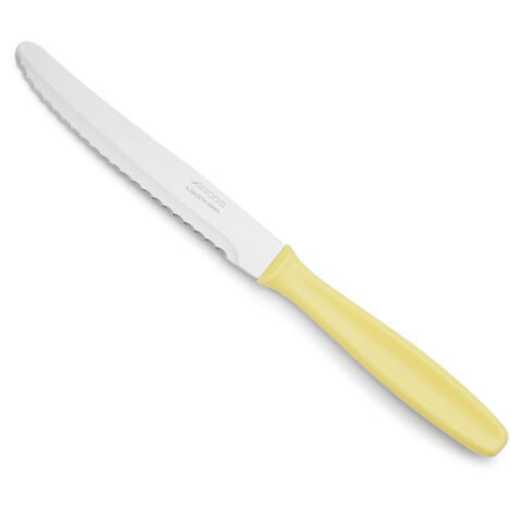 COUTEAU DE TABLE MANCHE P