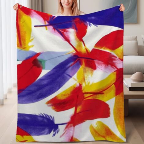 Couverture de lit en polaire, douce et chaude en microfibre légère pour le printemps, décoration intérieure, cadeau idéal pour femmes et hommes, 6080 pouces
