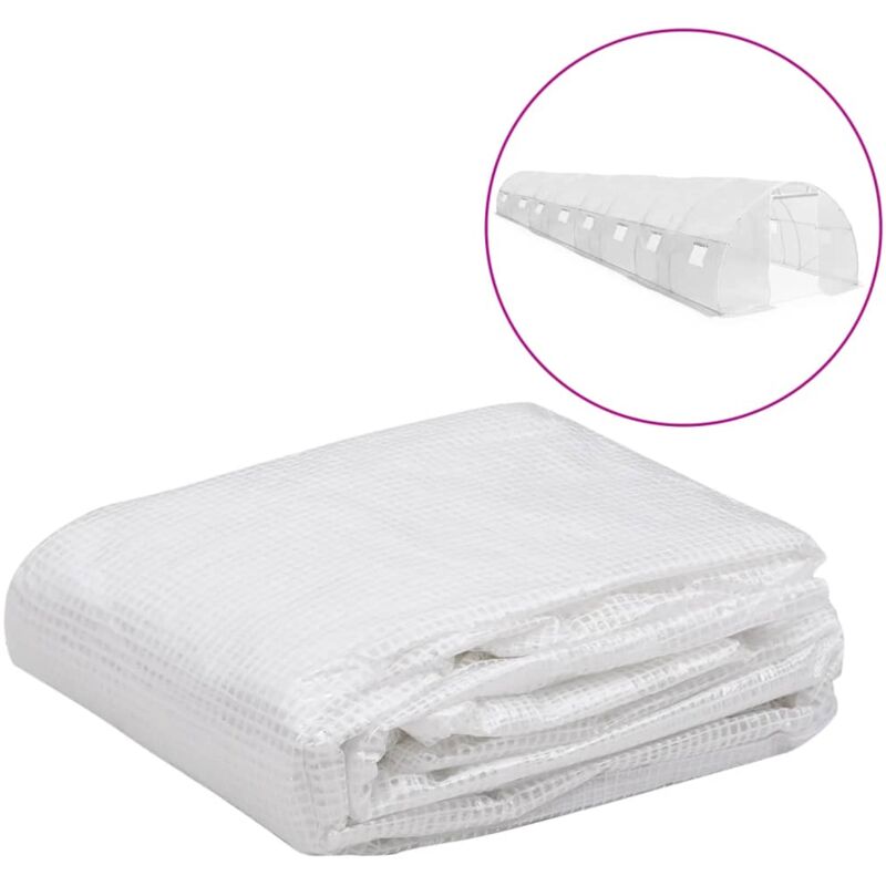 Couverture de remplacement de serre (36 m²) 3x12x2m Transparent