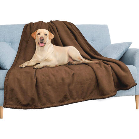 2 chiens pour meubles 60 x 35cm, 1 couverture XL, 1 grande sangle  élastique