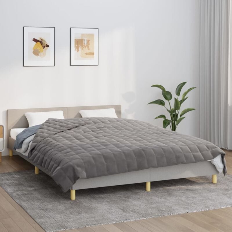 Vidaxl - Couverture lestée Gris 200x220 cm 9 kg Tissu
