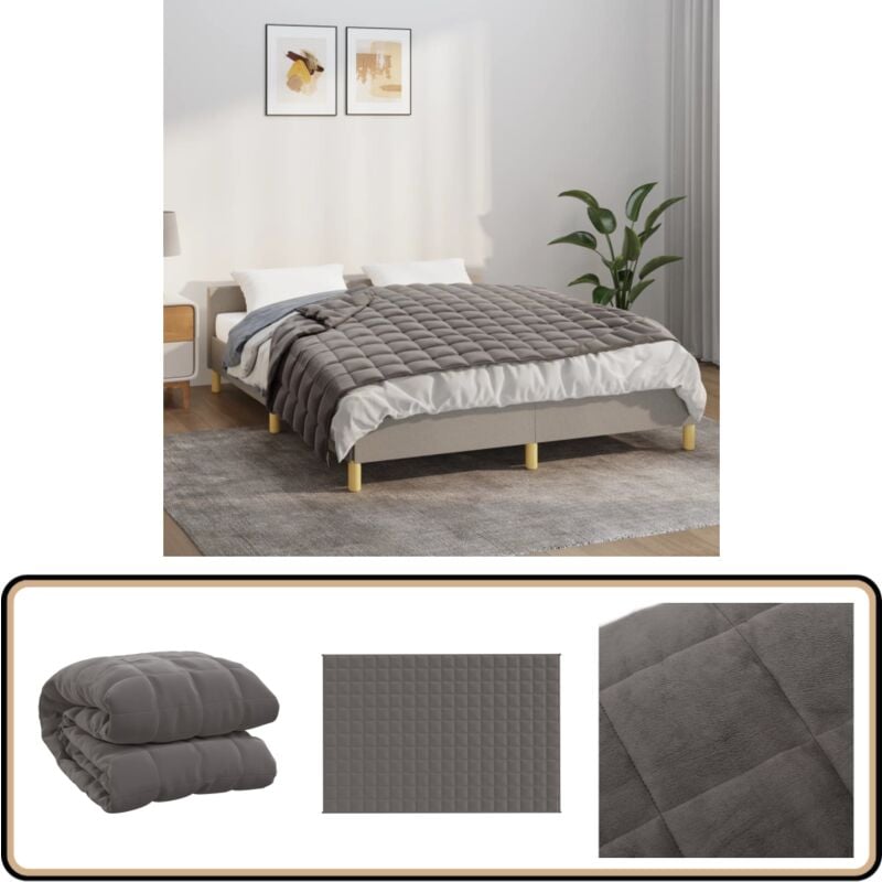 Vidaxl - Couverture lestée Gris 120x180 cm 9 kg Tissu - Couverture Lestée - Couverture Poids - Literie - Sommeil Réparateur - Relaxation