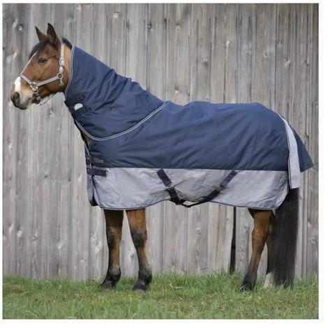 Le coperte per il cavallo e le loro funzioni