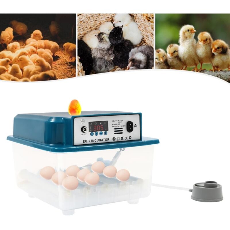 Couveuse entièrement automatique 16 œufs Couveuse de surface Couveuse Incubateur