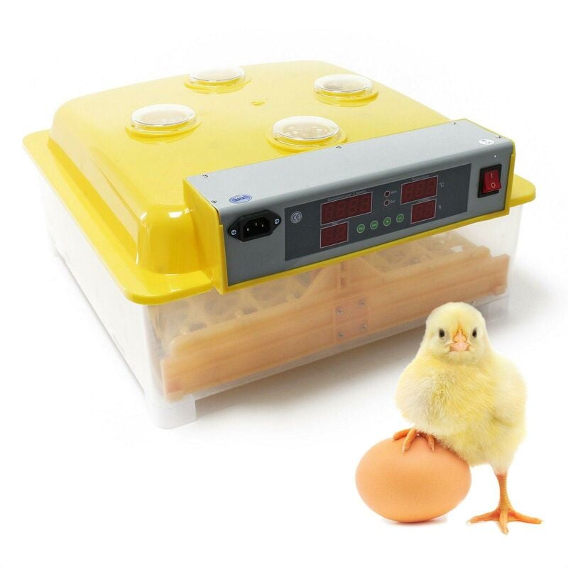 Couveuse automatique 48 oeufs appareil couver incubateur 4 fenêtres surveillance