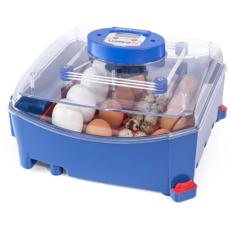 Couveuse lumia 16 œufs Borotto automatique