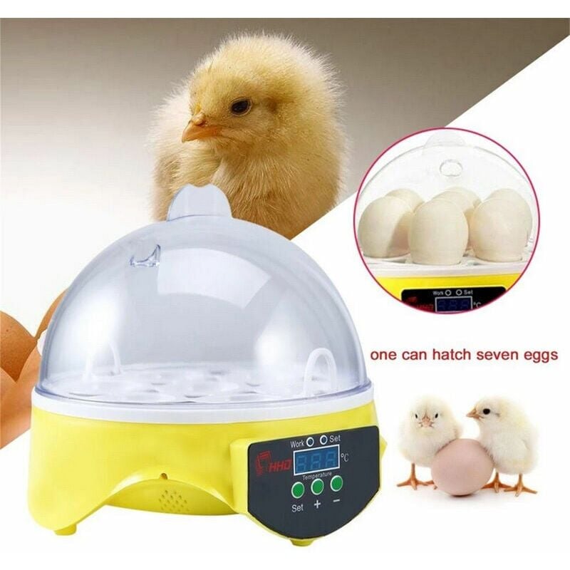 Ayyqh - Couveuse Automatique Digital Incubateur Machine a Couver 7 Oeufs Poule