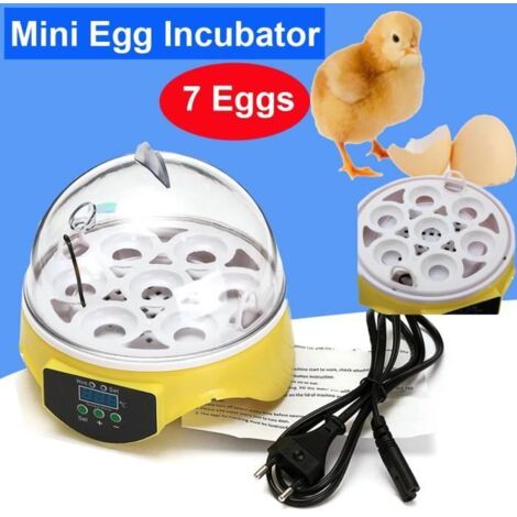 Couveuse Automatique Digital Incubateur Machine à Couver 7 Oeufs Poule