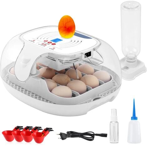 Couveuse automatique Incubateur 56 oeufs EU Prise avec LED
