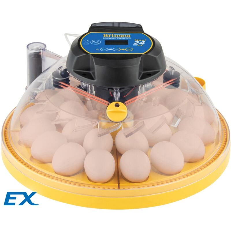 Brinsea - Couveuse Maxi 24 ex 24 à 40 retournement et humidité automatiques