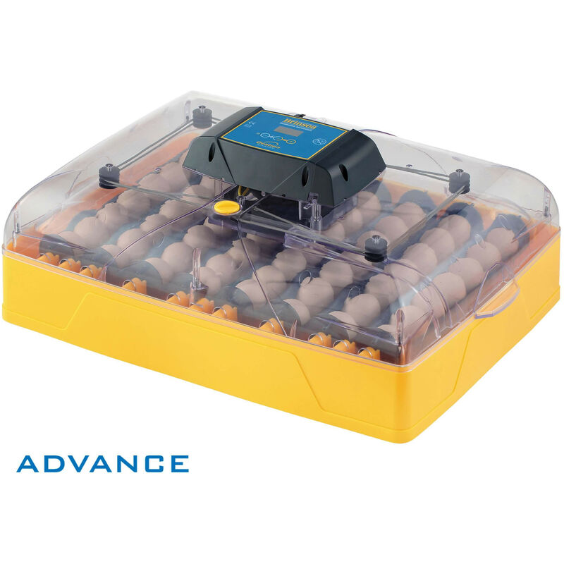 Couveuse Ovation 56 Advance - Brinsea