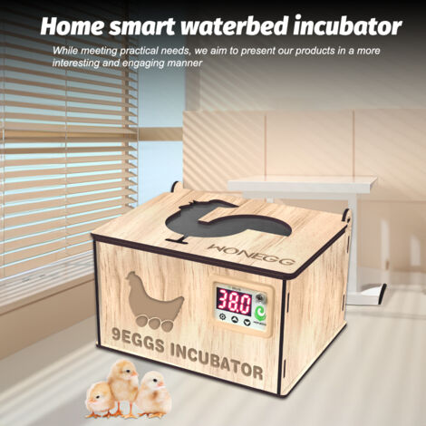 Couveuse DIY Bois Capacité 9 Œufs Contrôle Température Pour Poulet Canard Oie Caille Éducatif Maison Ferme School Projects