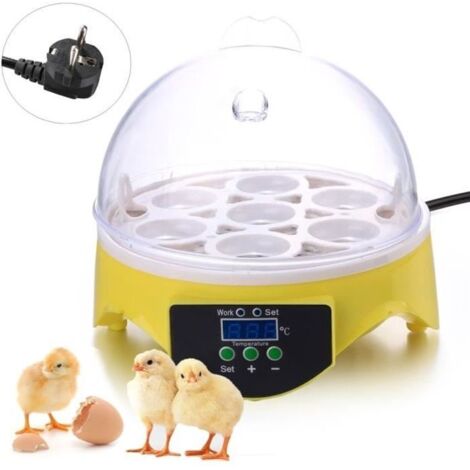 Couveuse - Homdox Mini Incubateur Capacité 7 oeufs outil de l\'éclosion