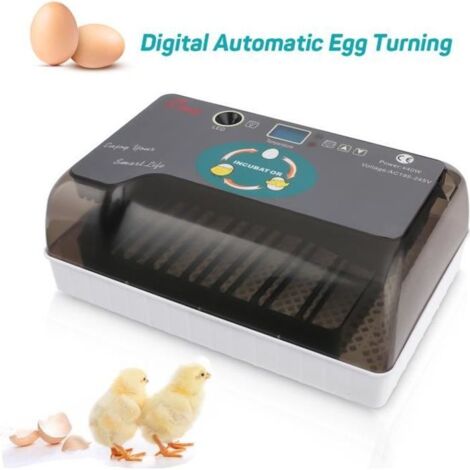 Couveuse Incubateur Automatique 12 oeufs pour Volaille Intelligent Numérique - Contrôle de la température - Gris