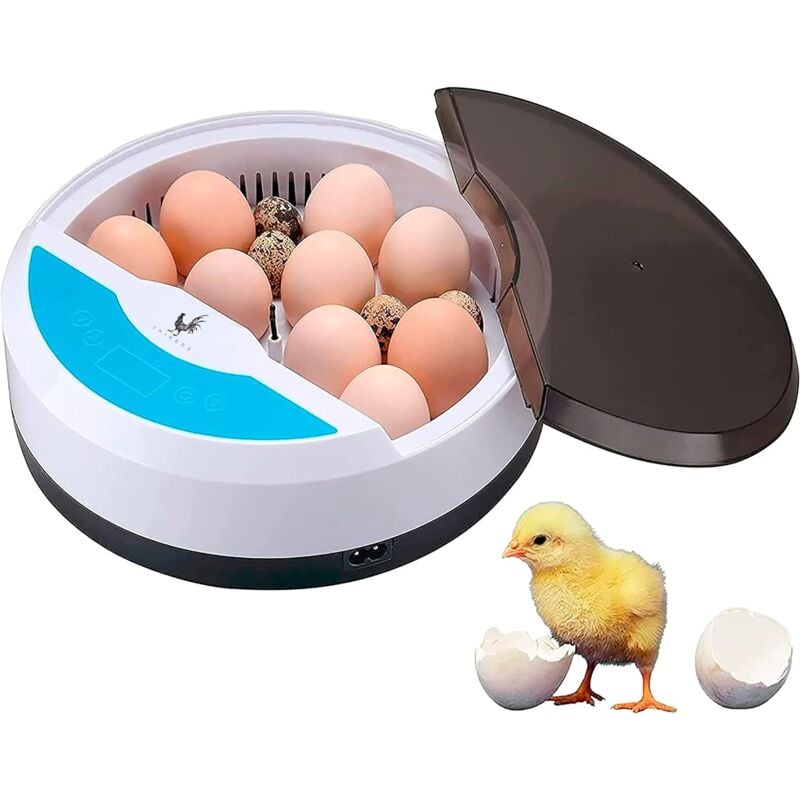 Couveuse Oeuf Automatique - Incubateur Oeuf Poule 9 Oeufs avec contrôle de la température - idéal pour pour Volaille Caille Oie Pigeon Reptile