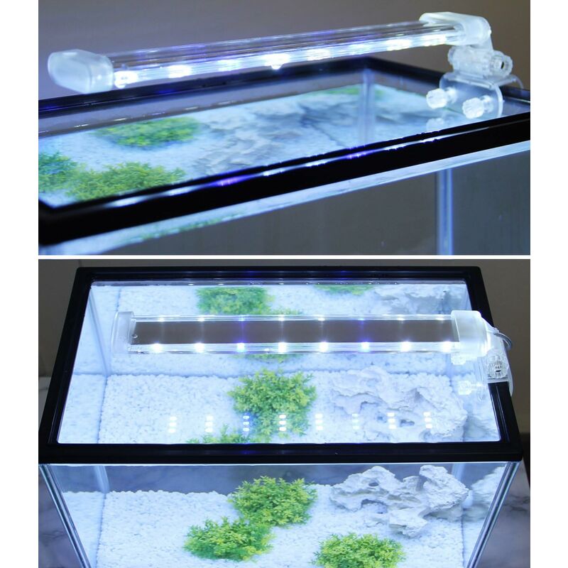 (26cm)Lampe d'aquarium LED submersible pour plantes lumière blanche et bleue 8W