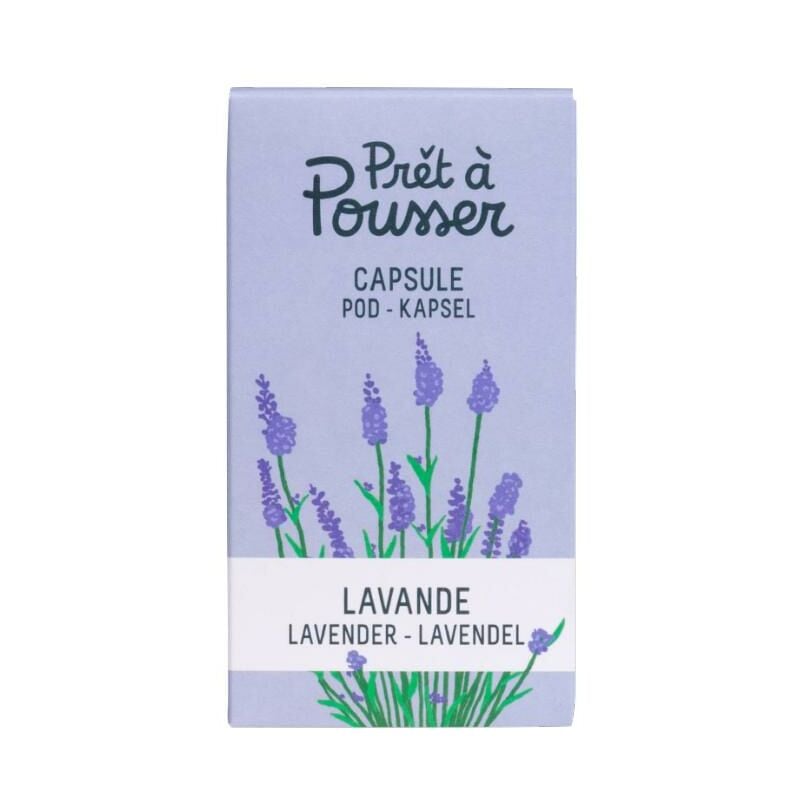 

Cápsulas de Semillas Lavanda Prêt à Pousser