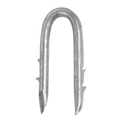 Crampillon double harpon galvanisé 3,9 x 40 mm