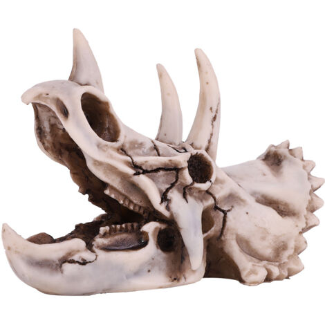 Crâne de Dinosaure Tricératops en Résine - Décoration Bureau et Artisanat Crânien