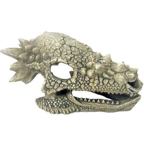 Crâne de dragon 15,3x10x80 cm décoration pour aquariums