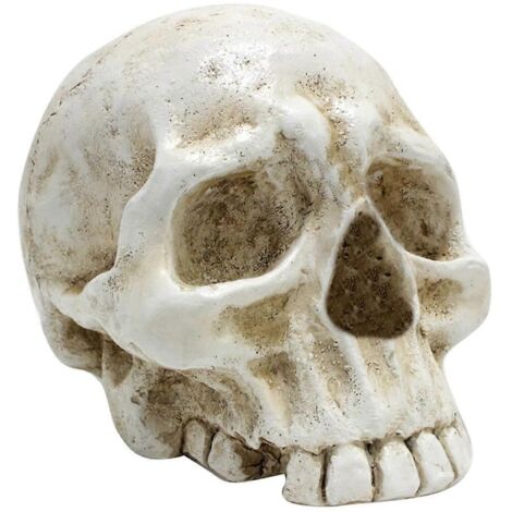 Crâne décoratif, crâne humain en résine, modèle artistique pour le Jour des Morts.