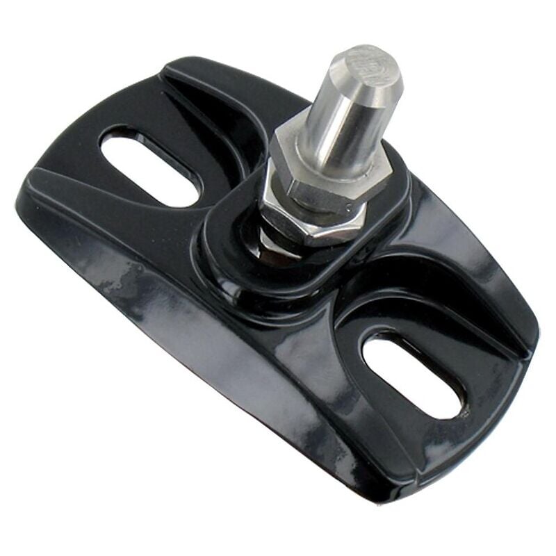 Crapaudine réglable pour portail, coloris noir Tirard