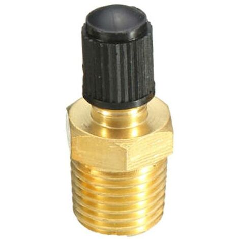 CREA 1/4" Npt Tank Valve Anti-corrosion Brass Schrader Valve With 1/4" Male Npt
