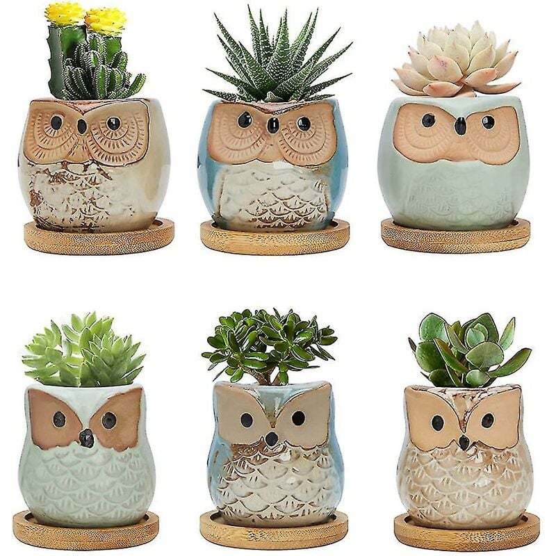 Crea - Pots succulents, pots de cactus mignons de 6 cm, pots de plantes animales, petits pots de fleurs