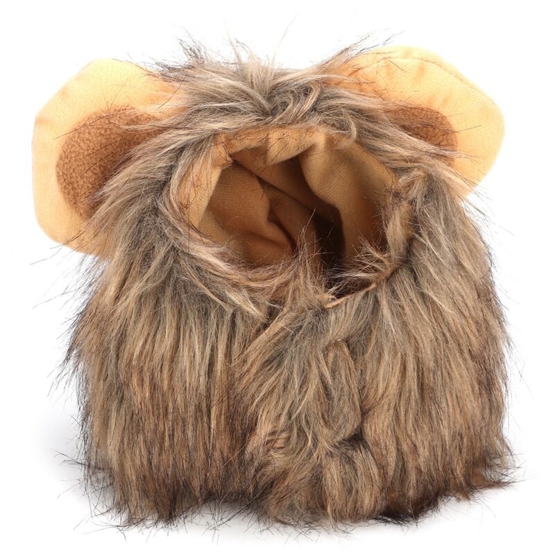 Créatif mignon animal de compagnie chat chien Lion perruque chapeau Costume drle habiller
