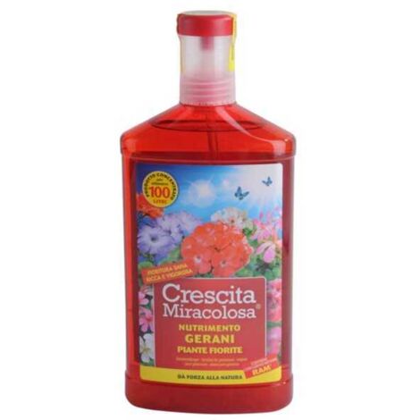 Crecimiento milagroso de geranios con el producto de 750 ml