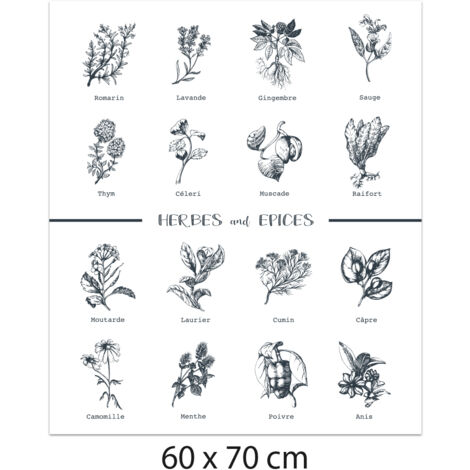 Crédence cuisine adhésive autocollante HERBES EPICES - 60 x 70 cm