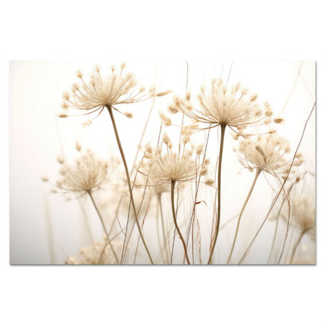 CRÉDENCE DE CUISINE Fleurs - Blanc - Lumière du soleil 60x40