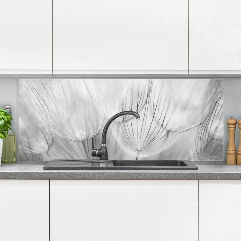 Crédence en verre - Dandelions Macro Shot In Black And White - Panorama Dimension: 50cm x 125cm