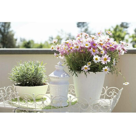 Cremefarbener Strohvasenhalter D29 cm H 27 cm Bama 34031 Pflanzen Blumen
