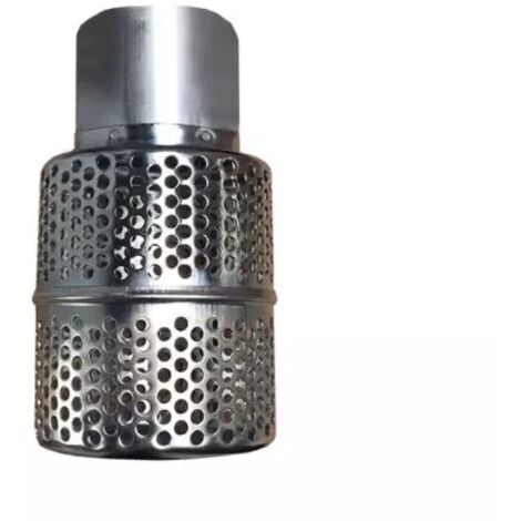 Crépine acier pour motopompe passage 7 mm – Diamètre 100 mm – Conçue pour filtration efficace – Usage professionnel – Worms